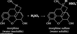 Chemical Reactions Amines as Bases Amines react with other acids to form salts Sulfuric, nitric,