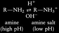 name of the negative ion derived from the acid Have physical properties characteristic of ionic compounds