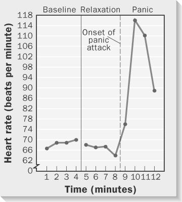 Rapid increase in heart rate during a panic attack.
