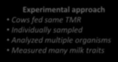 Measured many milk traits F:B ratio correlated with milk fat yield 3 Jami, E., B. A. White, I. Mizrah. 2014.
