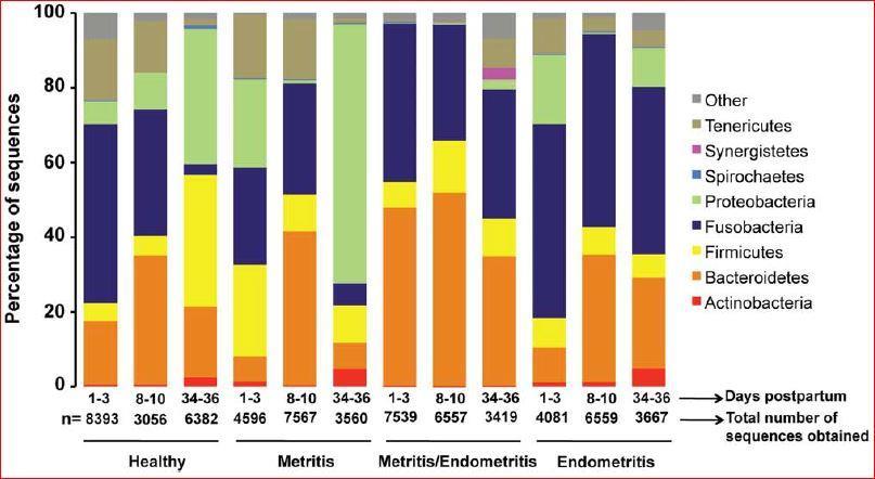 Cows of the present: Differences in uterine microbiome in diseased cattle 1 Monitor in heifers and cows 2 Inoculate at birth, weaning, puberty? Replace lowest prevalence? T.M.A.