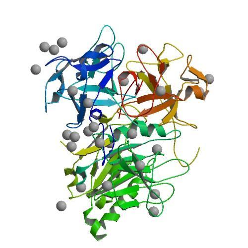 DNA tarčnih celic, kar vodi v inhibicijo celičnega cikla in prenehanje rasti ter smrt celice(dirienzo, 2014).