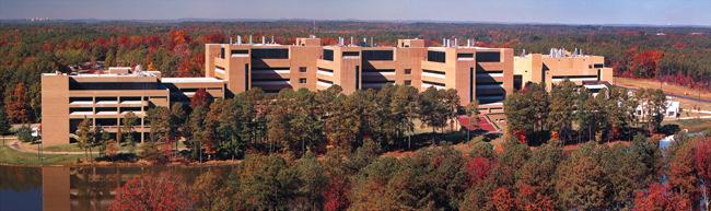 National Institute of Environmental Health Sciences (NIEHS), NIH, USA (1995-1996) Short term Scientist Exchange