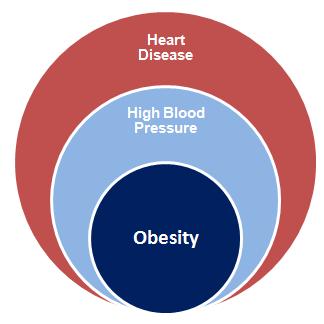 Preventing Heart Disease (through system wide initiatives) Pike County Community Health Needs Assessment 2013 Mission and Capability Alignment This information was also then examined carefully by the