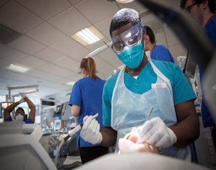 BDS (Bachelor of Dental Surgery) BSc (Hons) Dental Therapy and Dental Hygiene There are currently 229 students on the BDS programme.