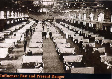 1918 Pandemic Sp