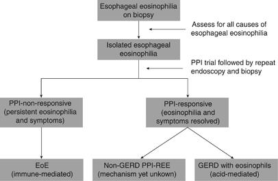Diagnostic Challenges: PPI-Responsive Esophageal Eosinophilia and GERD 5.