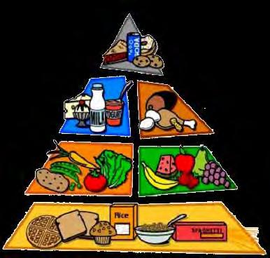 The United States Department of Agriculture (USDA) Food Guide Pyramid has