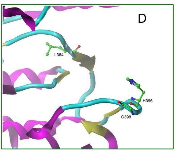 altering the protein conformation