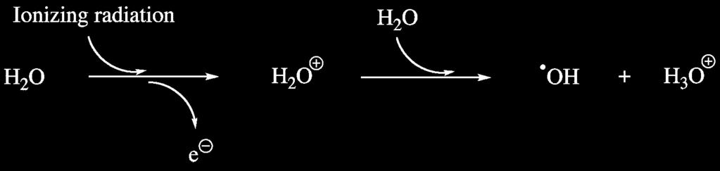 Oxidative metabolism 2.