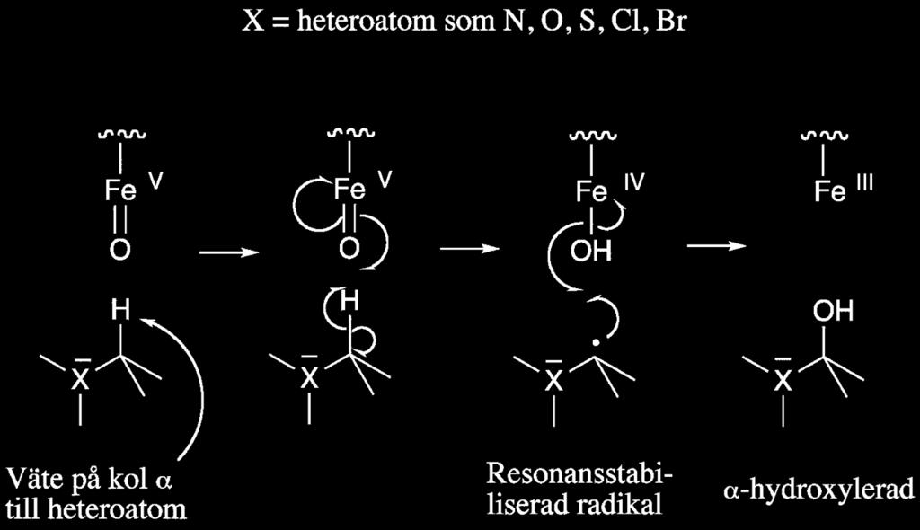 Carbon hydroxylations Next to