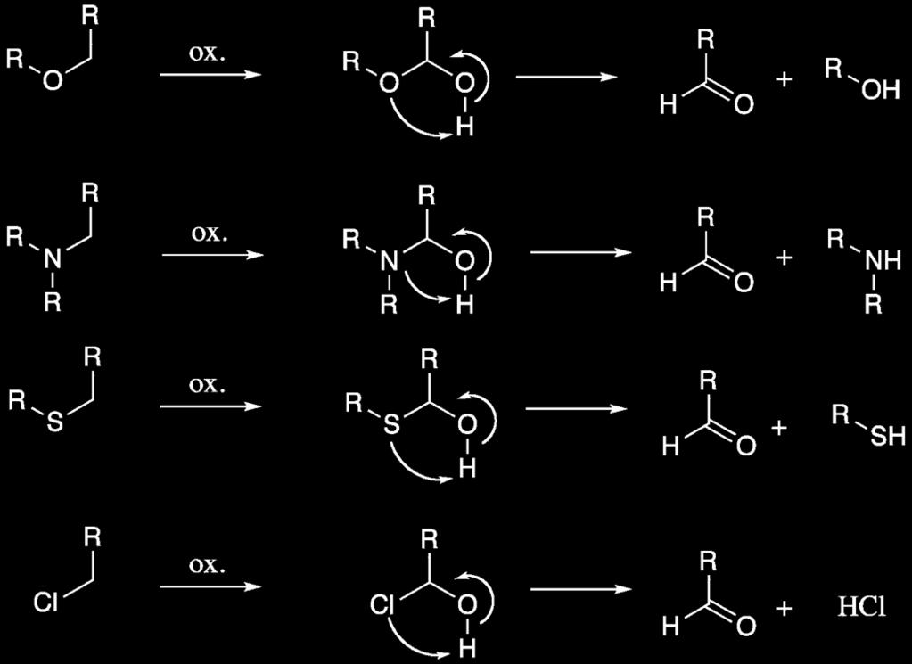 Carbon hydroxylations The products