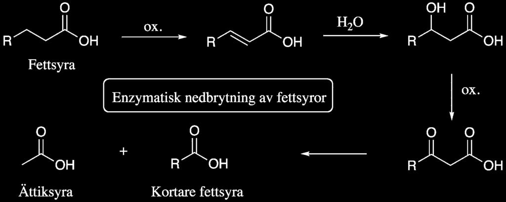 Carbon hydroxylations An