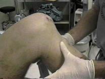 complaint Need to discern between patellar pain instability both pain and