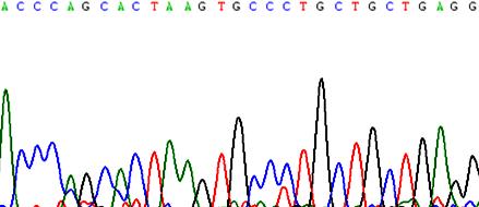 Supplementary Figure S. a d - - 18S rrna 1 3 6 3 1 15 mrna expression (FPKM) 5- - 75-5- 5-15- - ATG 5 a.