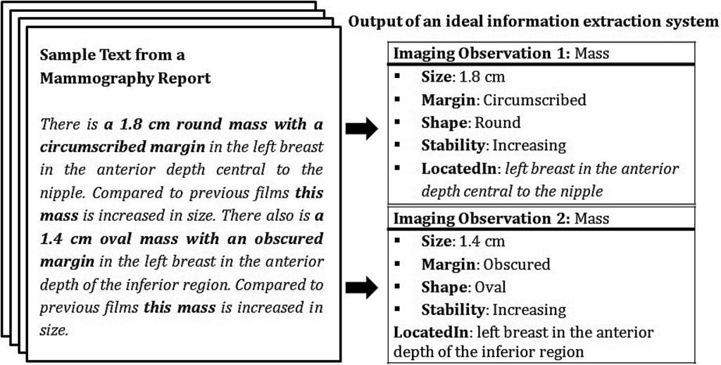 Few previous works have addressed information extraction from mammography reports.