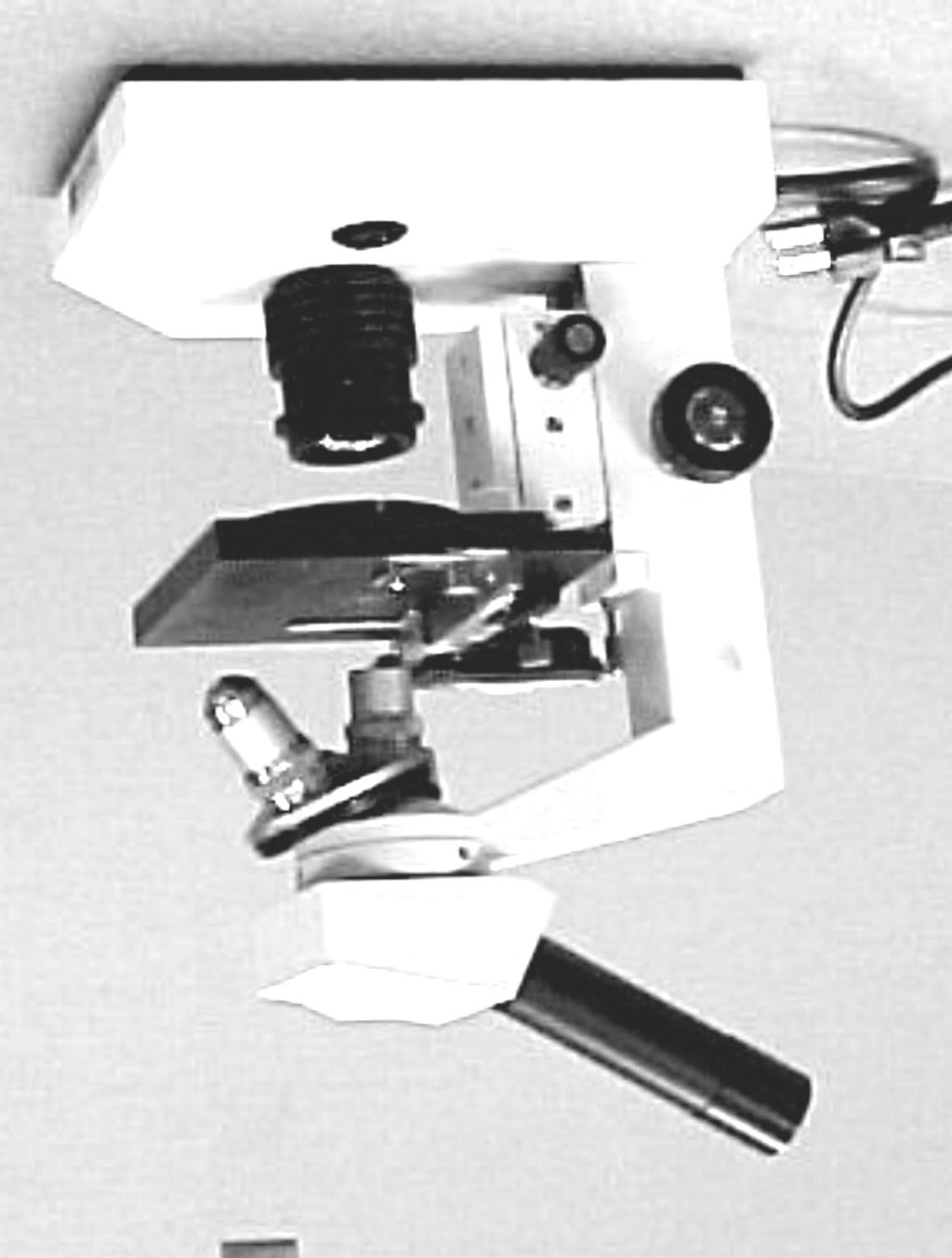 the stage of a compound monocular microscope: