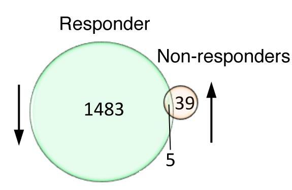 Opposite regulation of genes in pg1 (d8/d1) in responding vs