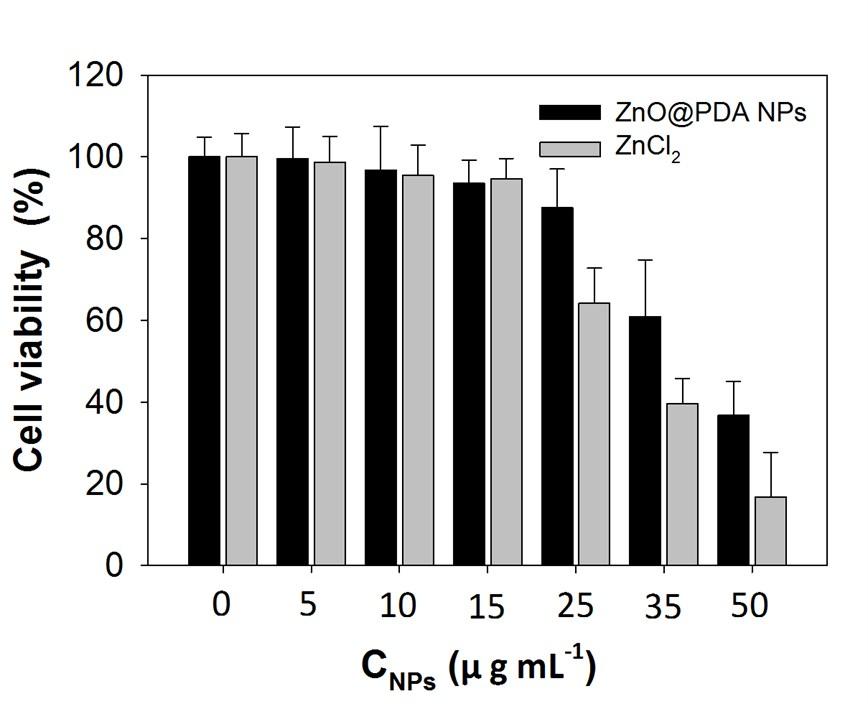 Fig. S11 The cytotoxicity of ZnO@PDA NPs and comparable concentrations of Zn 2+ ions.
