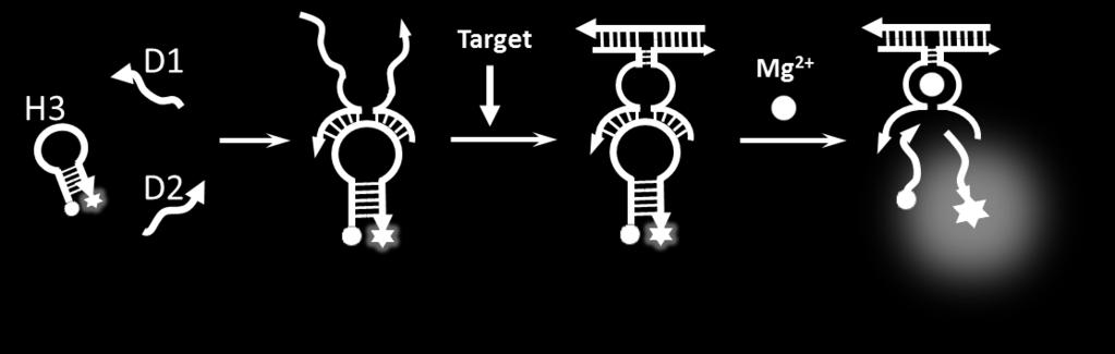 Scheme S2 Illustration of analysis of target