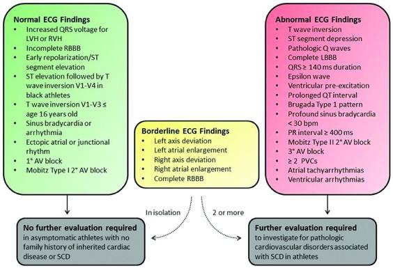 International consensus standards for ECG interpretation in athletes.