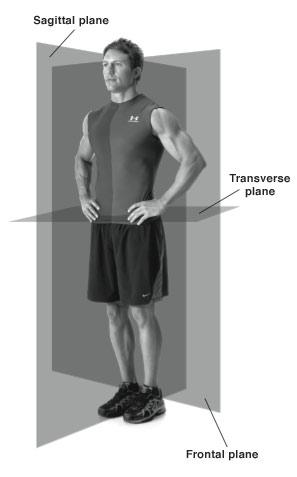6.4 The Ankle Body Movement Vocabulary When fitness professionals refer to movement of the body, the pattern of movement is described from the anatomical position This position can best be described