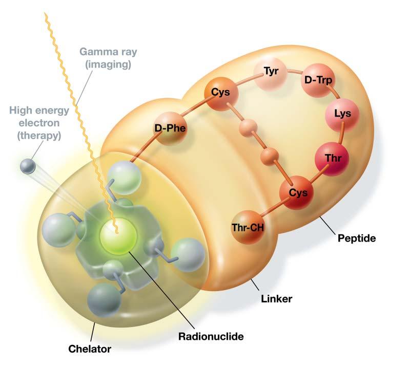 31 Structure of lutetium Lu 177 dotatate lutetium Lu 177 dotatate is a molecularly targeted radiation therapy that involves the systemic administration of a radiolabeled peptide