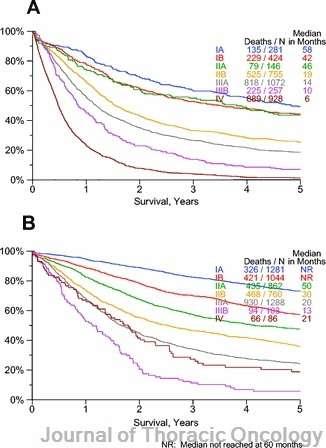 A: Clinical stage IASLC Survival Curves Underpinning v7