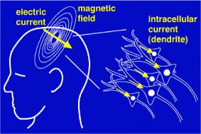 magnetic fields produced