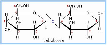 Maltose: Maltose or malt sugar (C 12 H 22 O 11 ), as such, is not found in free form in the body. Itis produced during the course of digestion of starch by the enzyme amylase.