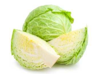 Brassica vegetable as a carrier for delivering probiotic cells into the gut 1. Cabbage (Brassica oleracea var. capitata) is a cruciferous vegetable. 2.