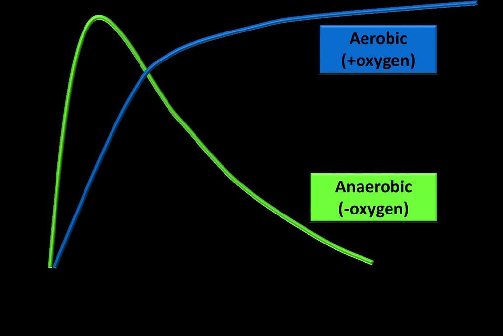 Anaerobic metabolism