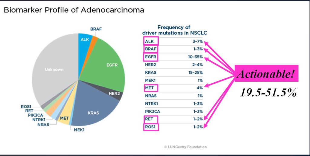 Mutations in Lung Adenocarcinomas These actionable mutations are often called driver mutations These mutations happen early in the disease course and are