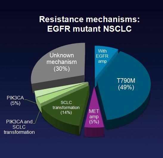 Why to the EGFR targeted drugs stop working?