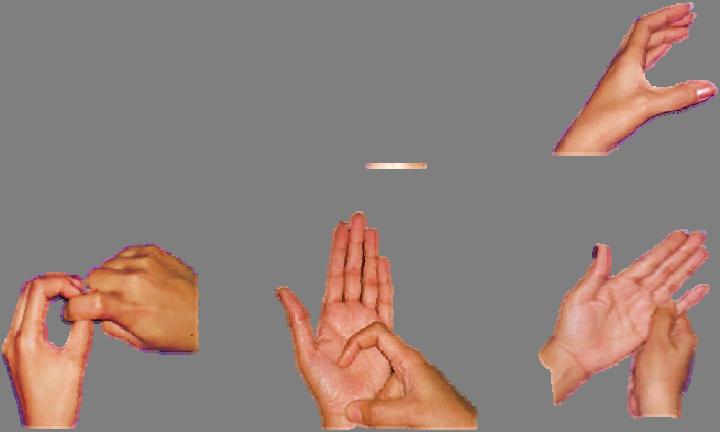Indian Sign Language(ISL) are double handed and hence it is more intricate compare to single handed American Sign Language(ASL).
