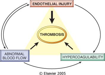 Thrombosis Pathogenesis Virchow triad Endothelial injury Stasis or turbulence of blood flow Atrial fibrillation Prosthetic
