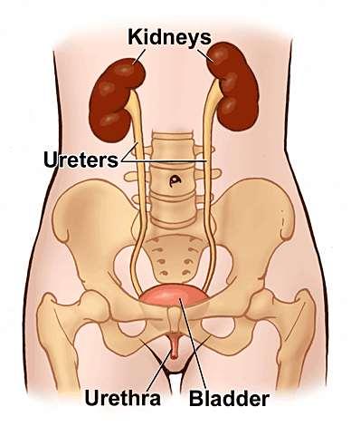 UTI Urinary tract infections (UTIs) are very common. They can be painful and uncomfortable, but they usually pass within a few days or can be easily treated with a course of antibiotics.
