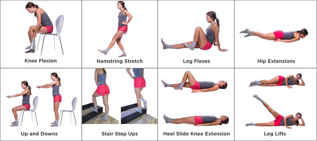 Example Exercises Ankle: Plantar flexion, dorsiflexion Heel raises Eversion and inversion