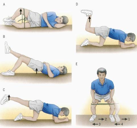 Example Exercises Hip: