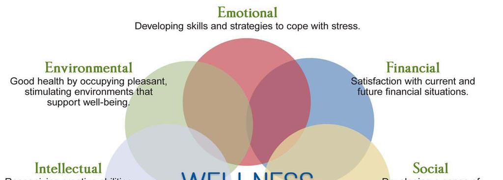 A Wellness Framework 12 Adapted from