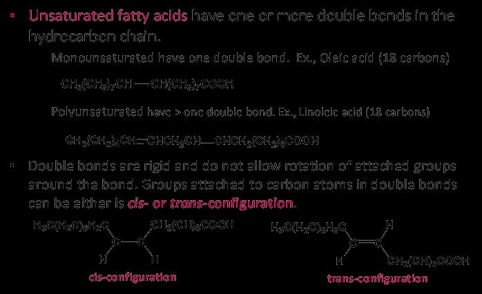 A second important distinction for these fatty acids is whether the groups attached to the carbons in a double bond are in the cis- or trans- configuration.