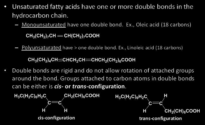 Trans- double bonds do not produce this kink which allows the fatty acids to pack tightly in membranes. This increases the rigidity of the membrane, which is not a desirable effect. II.