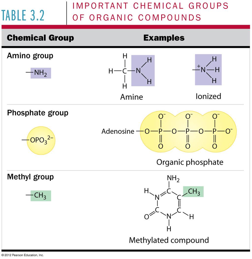 similar compounds that differ only in functional groups is sex hormones.