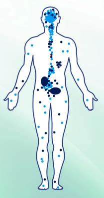 There are receptors for endocannabinoids, naturally occurring signals, in the human body.