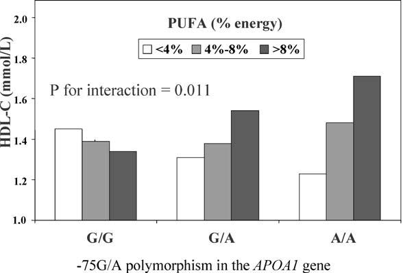 SNPs influence nutrient metabolism Polyunsaturated fatty acid (PUFA) intake modulates the effect of the 75A/G SNP on high-density lipoprotein cholesterol In GA or AA