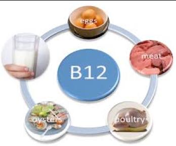 Vitamin B12 Important for protecting nerves Deficiency leads to peripheral neuropathy, balance disturbances, cognitive disturbances, and disability Inadequacy