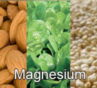Magnesium important for regulation of potassium and calcium part of bone