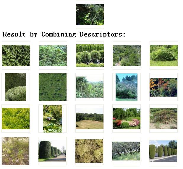 Figure 10. Combine the features by putting greater weights on less important features in category Bush. Figure 8. Retrieval results with combined descriptors for Bush Figure 9.