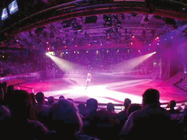Hearing The ice show was in its final moments and the music was louder than ever. There was a final chord that echoed across the arena. The audience rose to its feet to applaud.