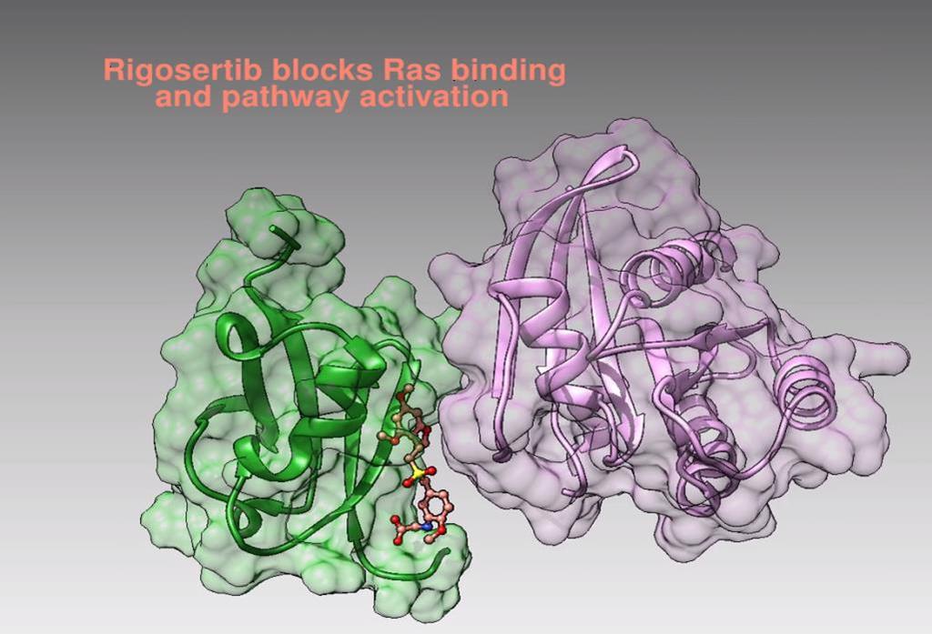 Background: Rigosertib Novel agent that inhibits cellular signaling acting as a Ras mimetic that targets the Ras-binding domain (RBD) Proposed MOA blocks multiple cancer targets and has downstream